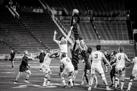 RSEQ 2025 - Rugby M - Demi Finale - McGill vs Université de Montréal - Match - BW