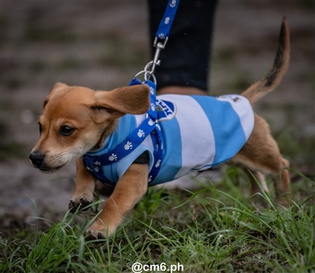 URT 2025 - Bajo Hondo vs San Martin RC