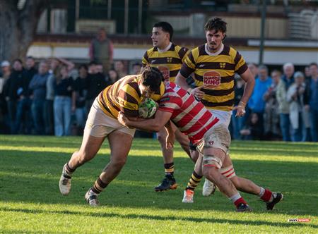 URBA 2025 - Top 12 Sup - Belgrano Athletic (35) vs (17) Asociacion Alumni