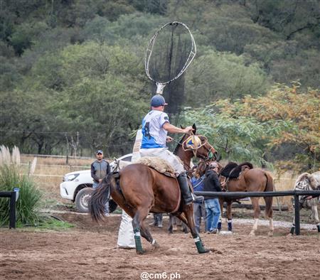 Torneo Nacional de Pato dia de la Independencia Argentina