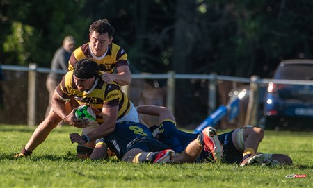 URBA 2025 - Top 12 - 1ra fecha -  La Plata (28) vs (44) Belgrano Athletic