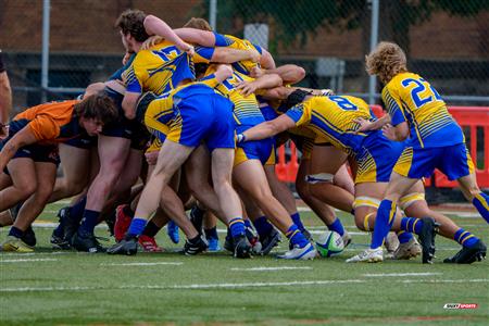 RSEQ 2025 - Rugby Masc Coll - John Abbott vs André Laurendeau