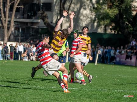 URBA 2025 - Top 12 Sup - Belgrano Athletic (35) vs (17) Asociacion Alumni