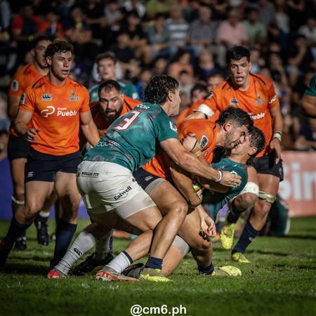 SRA 2025 - Fecha 12 - Tarucas (29) vs (43) Dogos