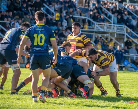 URBA 2025 - Top 12 - 1ra fecha -  La Plata (28) vs (44) Belgrano Athletic