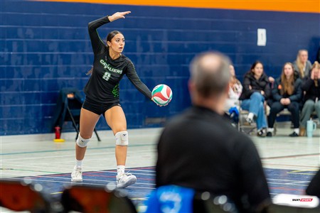 RSEQ 2025 - Volleyball F D1 - André Laurendeau (3) vs (1) Bois-de-Boulogne - Reel BB
