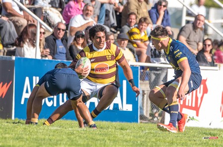 URBA 2025 - Top 12 - 1ra fecha -  La Plata (28) vs (44) Belgrano Athletic