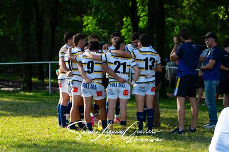 URT 2025 - Lince Rugby Club (12) vs (29)Tucuman Lawn Tennis Club