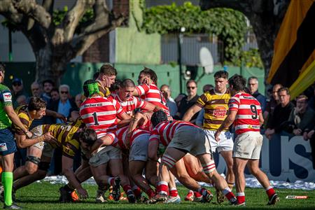URBA 2025 - Top 12 Sup - Belgrano Athletic (35) vs (17) Asociacion Alumni