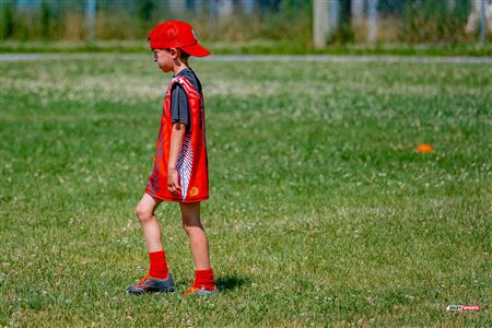 2025 Stade Toulousain - Academie Rugby - Dragons NDG