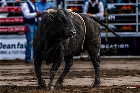 Rodéo Sainte-Catherine-de-la-Jacques-Cartier