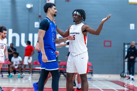 RSEQ 2025 - Basketball M D2 - Ahuntsic (75) vs (87) Dawson