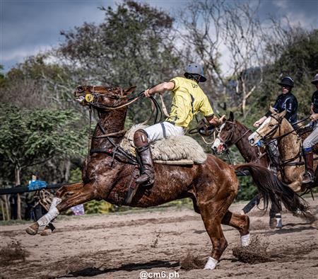 Torneo Nacional de Pato dia de la Independencia Argentina