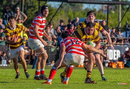 URBA 2025 - Top 12 - 3ra fecha - Sup -  Alumni (19) vs (35) Belgrano Athletic