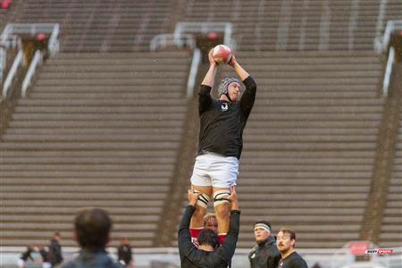 RSEQ 2025 - Rugby M - McGill vs Carleton