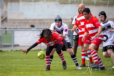Challenge des Fabulous Rugby 2025