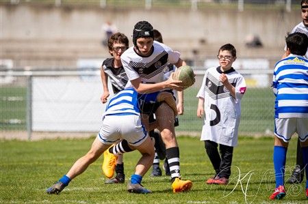 Challenge des Fabulous Rugby 2025