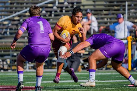 RSEQ 2025 - Rugby M - Concordia vs Bishop's