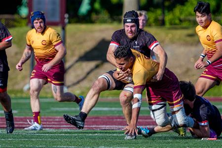 RSEQ 2025 - Rugby M - Concordia vs Carleton