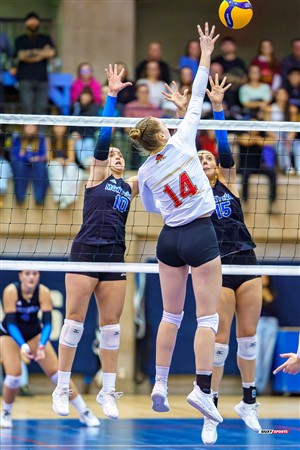 RSEQ 2025 - Volleyball F Finale 1 - Université de Montréal (3) vs (1) Université Laval