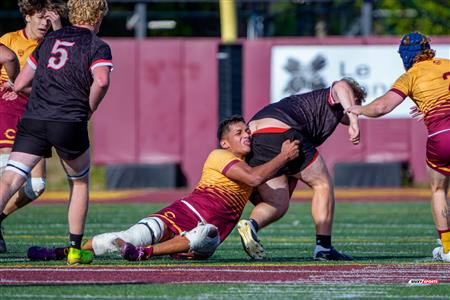 RSEQ 2025 - Rugby M - Concordia vs Carleton