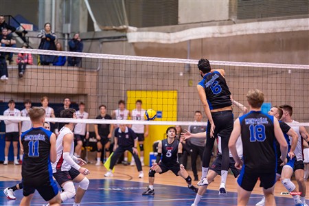 RSEQ 2025 - Volleyball M - Université de Montréal (3) vs (0) UNB