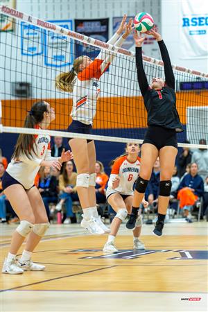 RSEQ 2025 - Volleyball F D1 - André Laurendeau vs Édouard-Montpetit