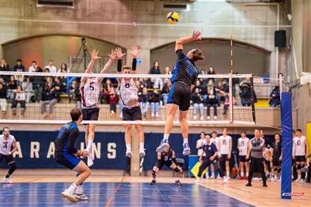 RSEQ 2025 - Volleyball M - Université de Montréal (3) vs (0) UNB