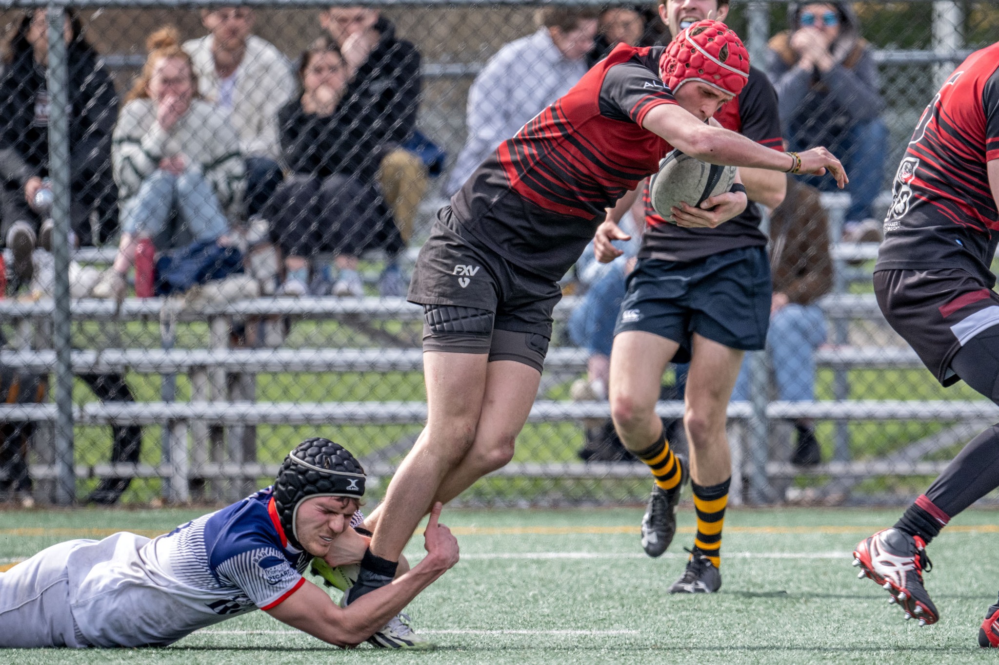  Rugby Club de Montréal - Westmount Rugby Club - Rugby - RQ 2024 - LPR2 - RCMXV vs Westmount 2 (#RQ24LP22RCMXW) Photo by: Rejean Poudrette | Siuxy Sports 2024-04-27