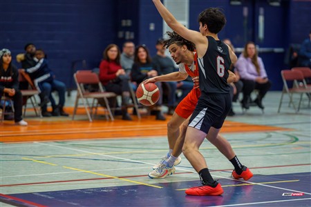 RSEQ 2025 - Basketball M D2 - André Laurendeau (75) vs (79) Collège Ahuntsic