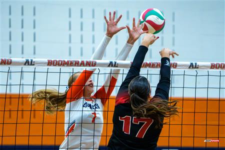 RSEQ 2025 - Volleyball F D1 - André Laurendeau vs Édouard-Montpetit