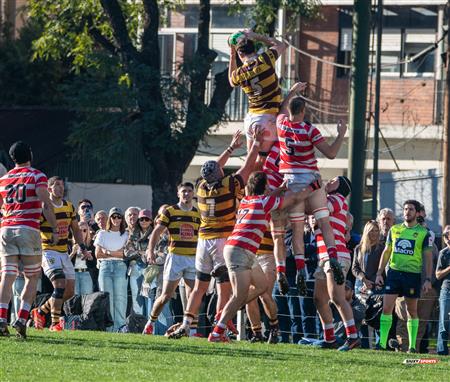 URBA 2025 - Top 12 Sup - Belgrano Athletic (35) vs (17) Asociacion Alumni