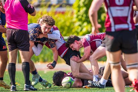RSEQ 2025 - Rugby M - Brébeuf vs André-Laurendeau
