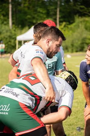 RQ 2025 - SL M - Sainte-Anne-de-Bellevue RFC vs Rugby Club de Montréal