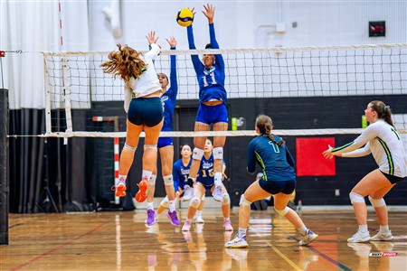 RSEQ 2025 - Volleyball F D2 - Championnat de Conférence - Dawson (0) vs (2) Montmorency