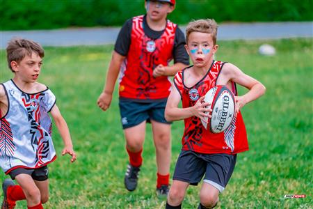 2025 Stade Toulousain - Academie Rugby - Dragons NDG