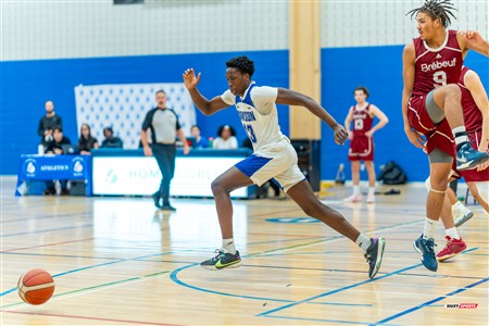 RSEQ 2025 - Basketball M D1 - Dawson (66) vs (76) Brébeuf