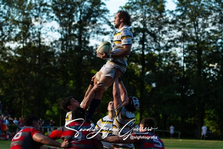 URT 2025 - Lince Rugby Club (12) vs (29)Tucuman Lawn Tennis Club