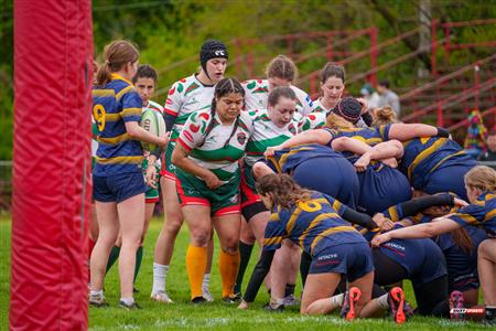 RQ 2025 - LPR2 F - TMR (12) vs (37) RCM