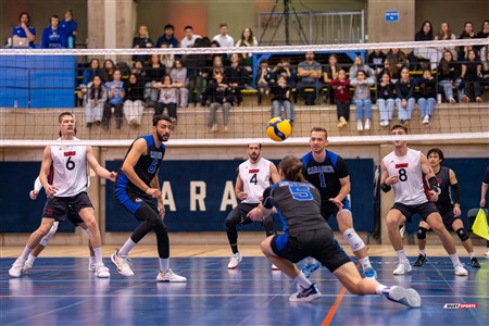 RSEQ 2025 - Volleyball M - Université de Montréal (3) vs (0) UNB