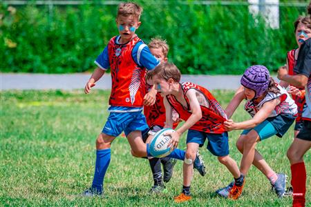 2025 Stade Toulousain - Academie Rugby - Dragons NDG