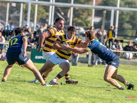 URBA 2025 - Top 12 - 1ra fecha -  La Plata (28) vs (44) Belgrano Athletic