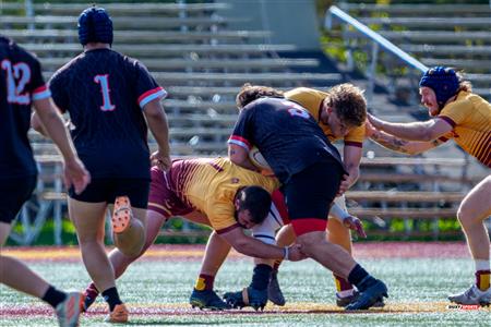 RSEQ 2025 - Rugby M - Concordia vs Carleton