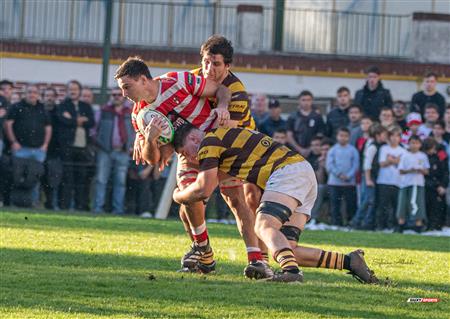 URBA 2025 - Top 12 Sup - Belgrano Athletic (35) vs (17) Asociacion Alumni