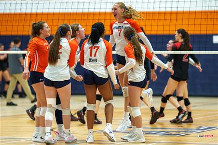 RSEQ 2025 - Volleyball F D1 - André Laurendeau vs Édouard-Montpetit