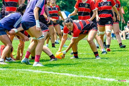 RQ 2025 - LP1F - SABRFC (0) vs (73) Beaconsfield RFC 