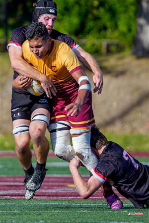RSEQ 2025 - Rugby M - Concordia vs Carleton
