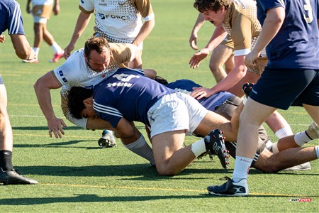RQ 2025 - LPR3 M - Montréal Phénix Rugby (42) vs (5) Sainte-Anne-De-Bellevue RFC - Match