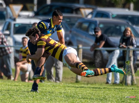 URBA 2025 - Top 12 - 1ra fecha -  La Plata (28) vs (44) Belgrano Athletic