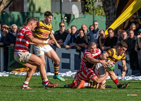 URBA 2025 - Top 12 Sup - Belgrano Athletic (35) vs (17) Asociacion Alumni